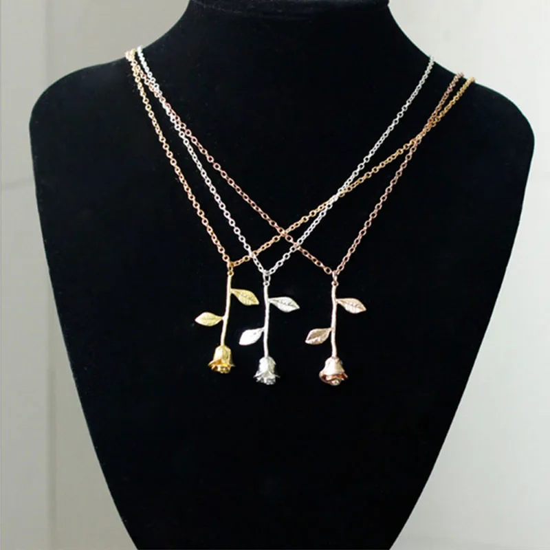 245083_no-logo_245083-1-07