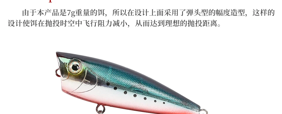 DW20-Y_18