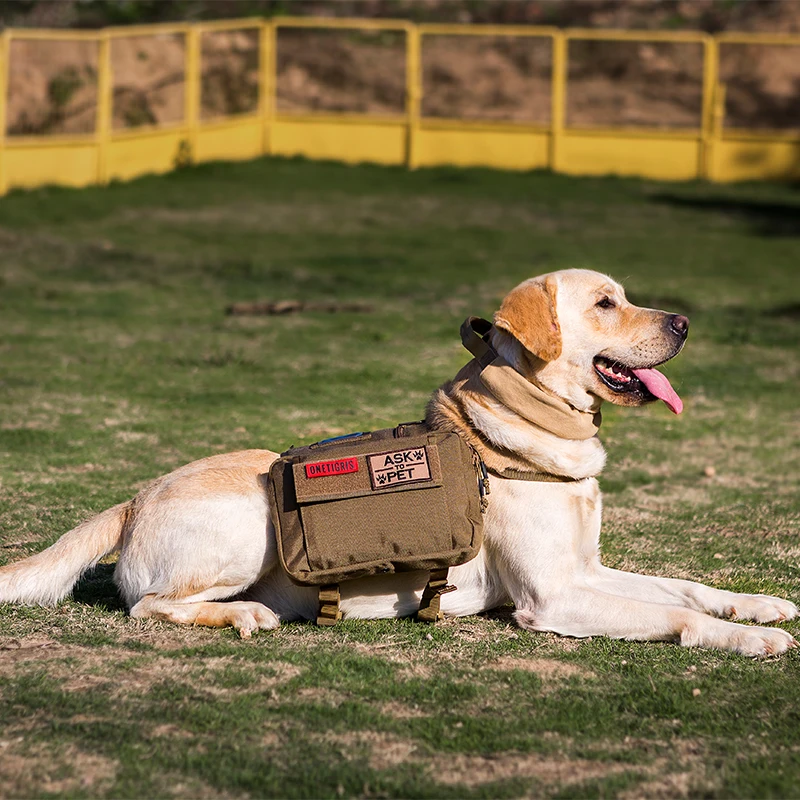 dog hiking bag