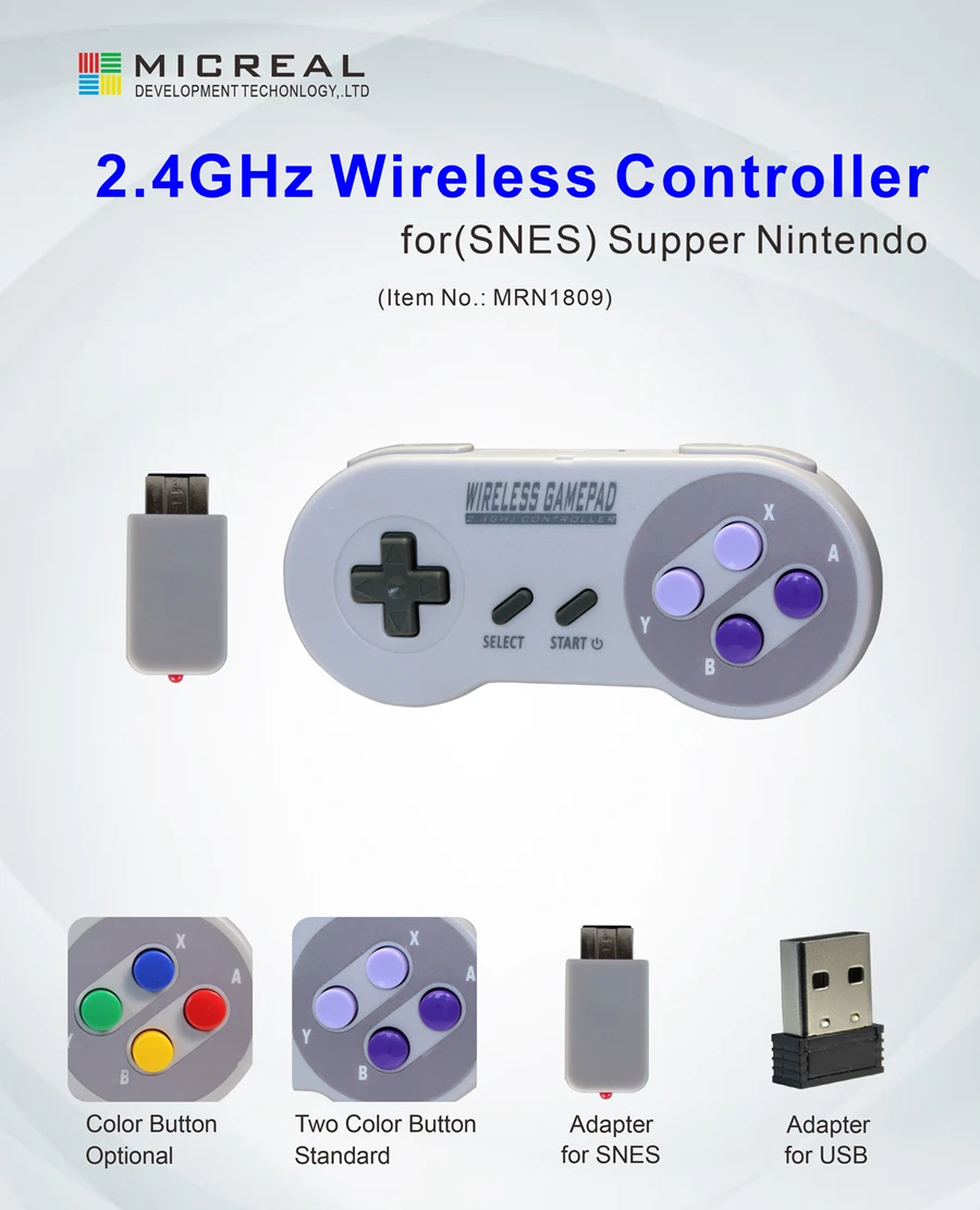 SNES_intorduction(MRN1809)_01