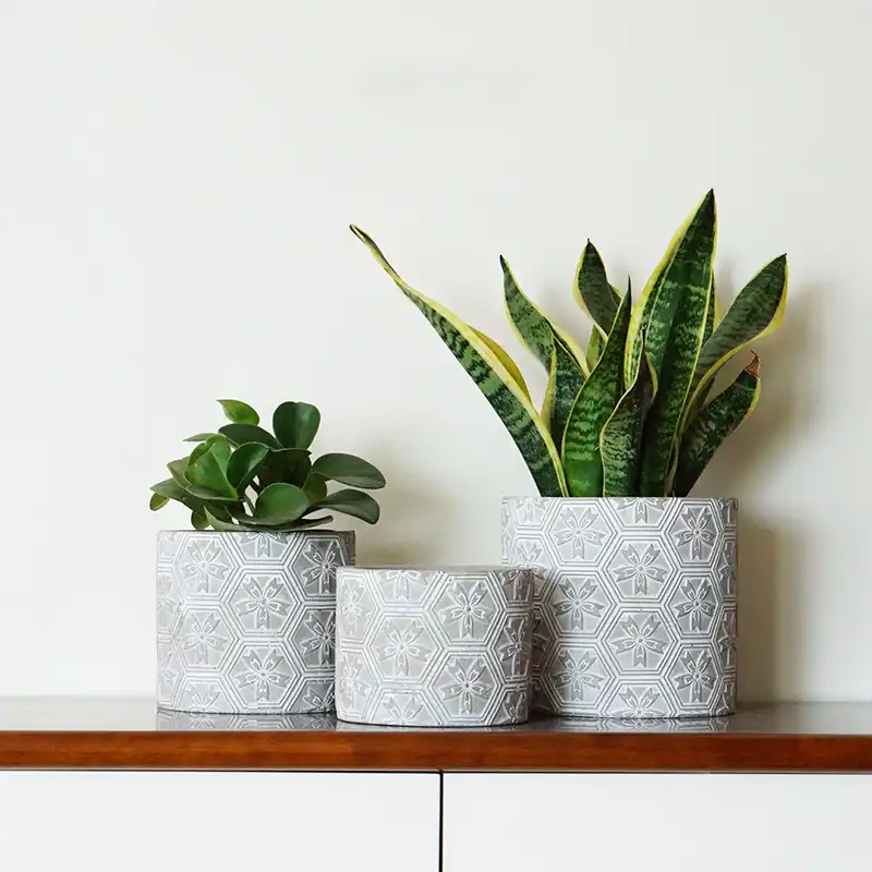 Beton Pot Bunga Cetakan Relief Geometri Cherry Blossom Pola Hijau