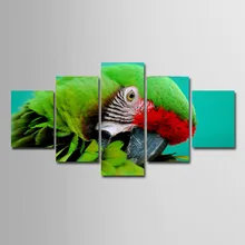 Фотографии попугая картина животных обои с изображением холста картина птицы фото 5 шт. для гостиной большой размер Спрей картины