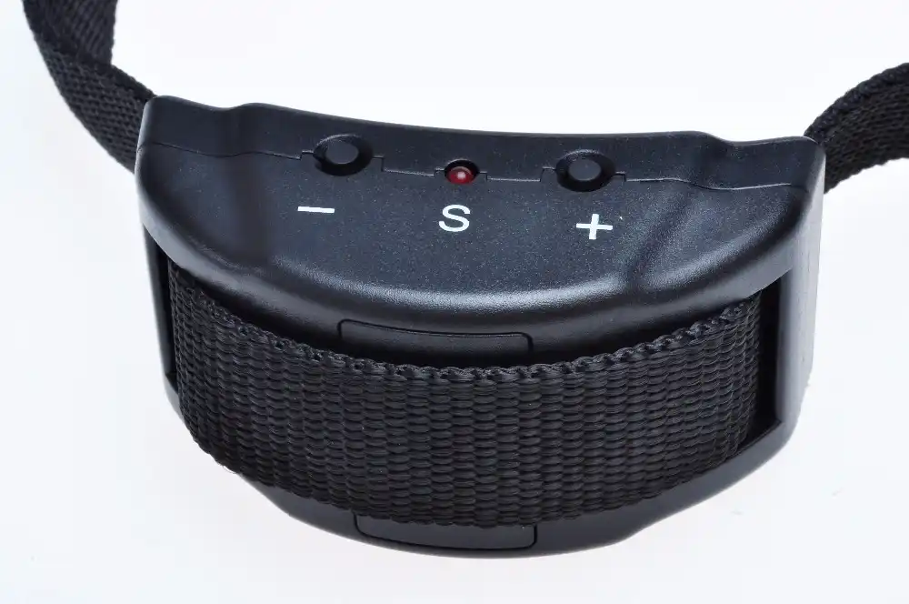 petrainer pet853 bark collar