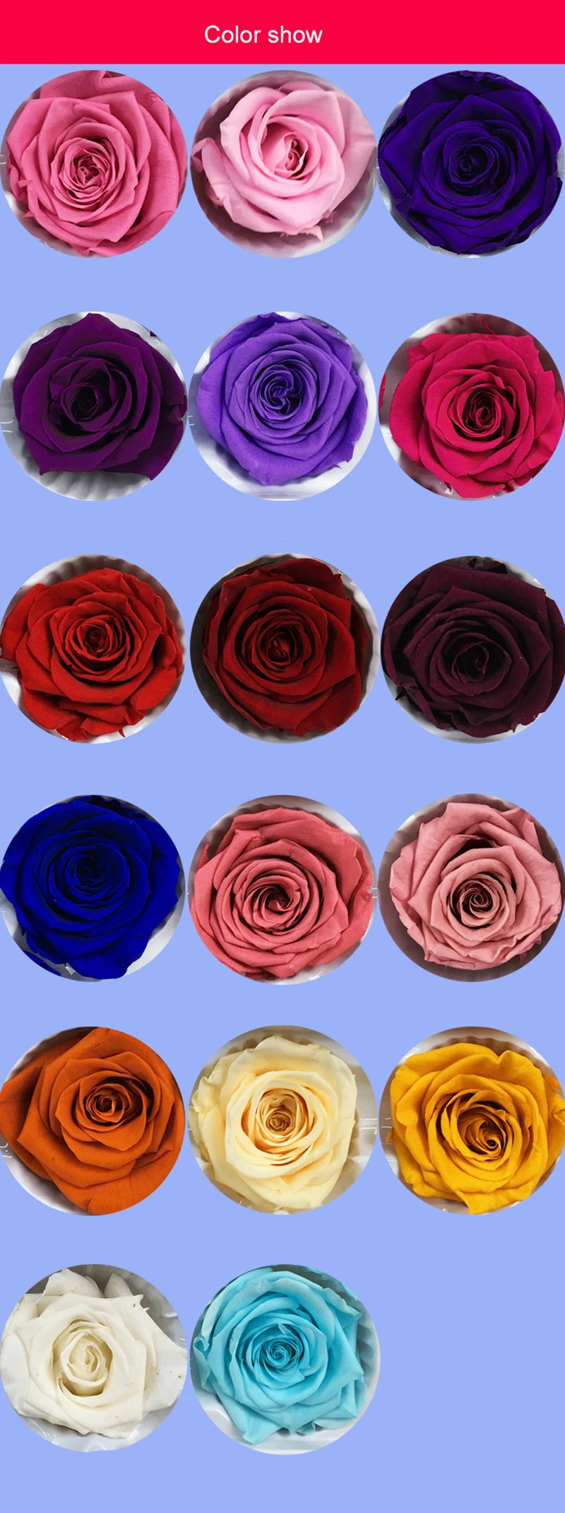 5-6cm02