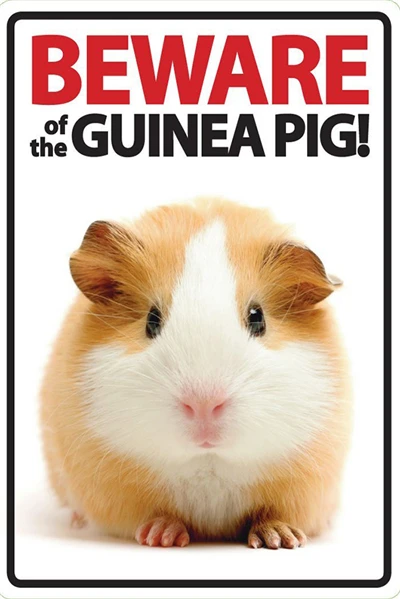 Beware of The Rabbit Plaque Vintage Metal Tin Signs Home Bar Pub Office Decorative Plate Rat Wall Sticker Garden Art Poster MN11 E