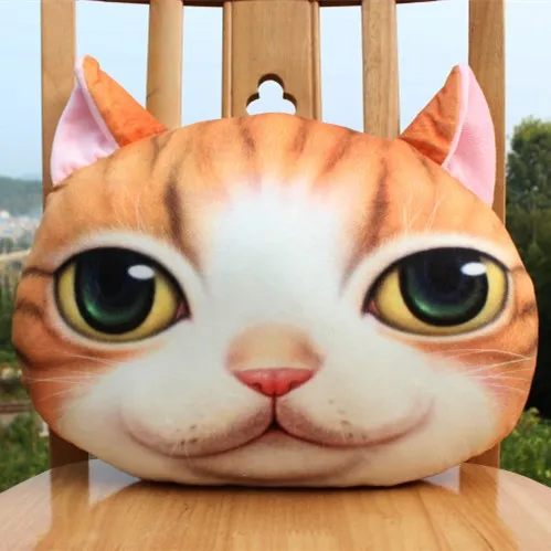 1885702605_1186164819