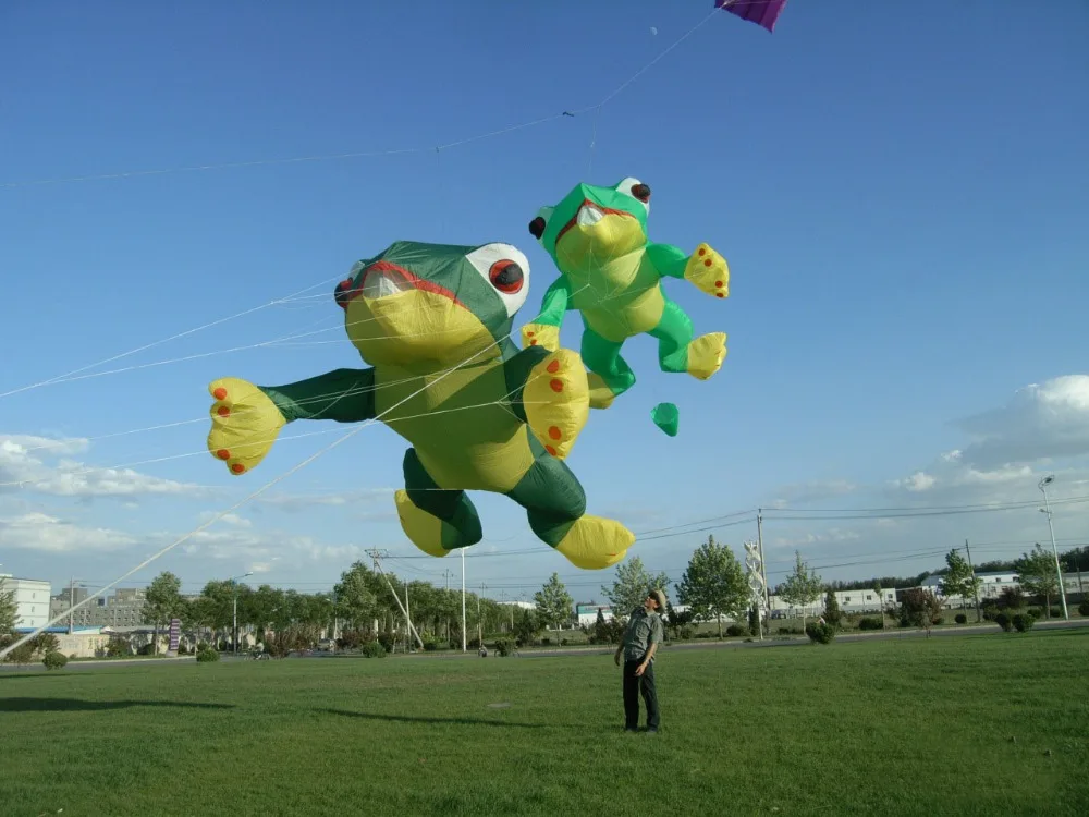 Новое поступление 3D высокое качество 7 м нейлоновая одежда POWER FROG WINDSOCKS для