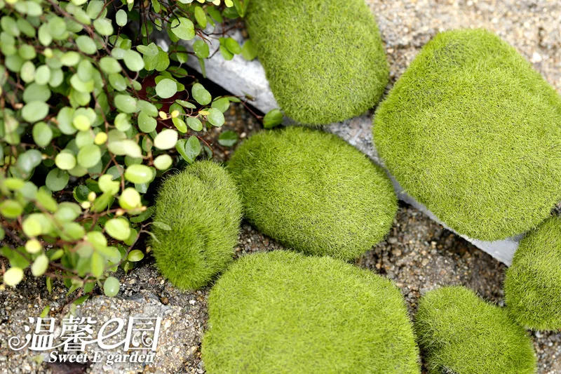 20160818_134319_033