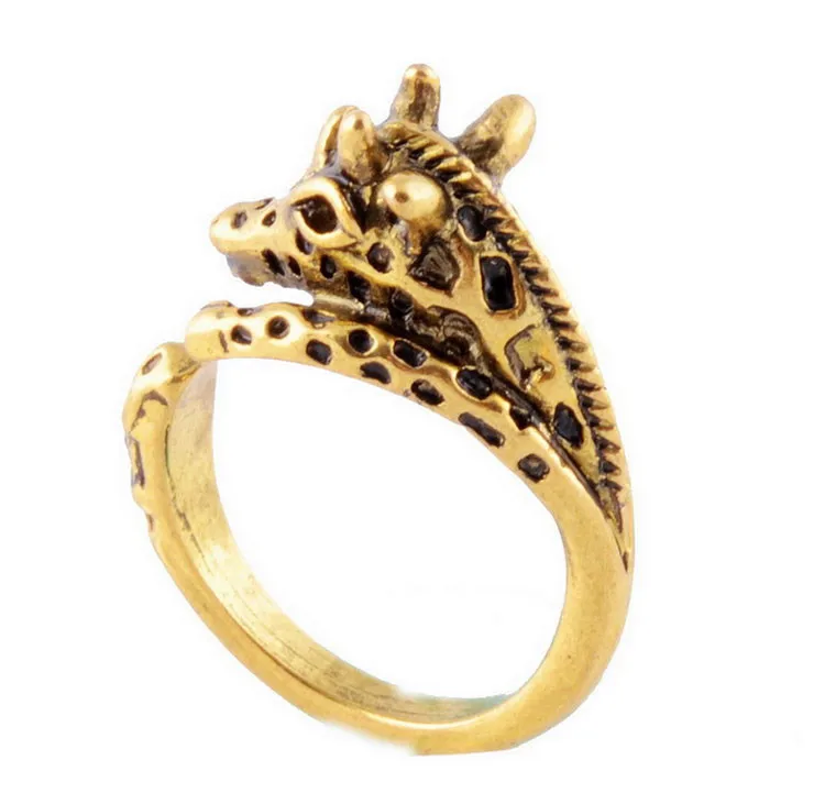 DR204-13
