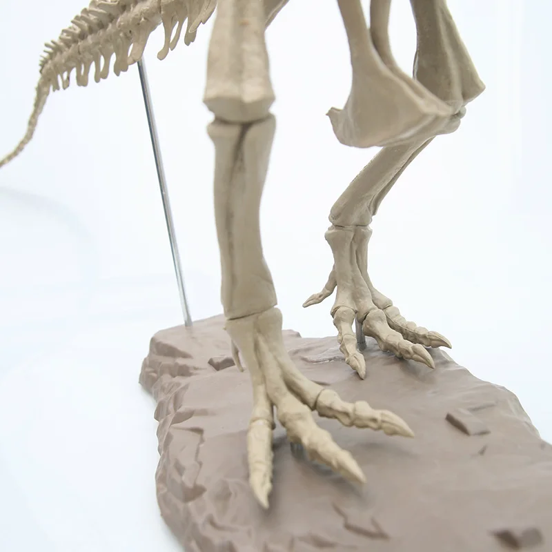 Моделирование 4D собранная модель большой тираннозавр рекс Fossil животная модель Diy обучающие игрушки для детей динозавр модель
