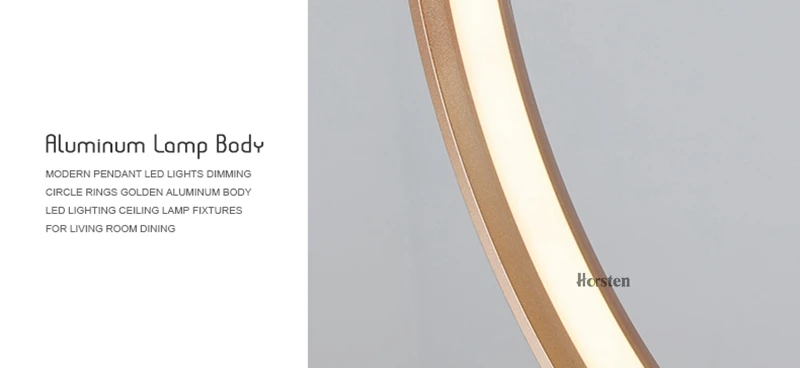 Nordic Creative LED Pendant Lights Lamp Minimalist Aluminum Double Ring LED Hanging Lighting For Dining Room Bar Cafe (15)