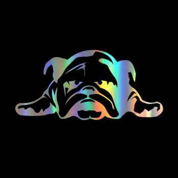 

Sticker ENGLISH BULLDOG TIRED PUPPY Sticker On window Funny Vinyl Stickers Decals JDM Motorcycle window Styling Accessories