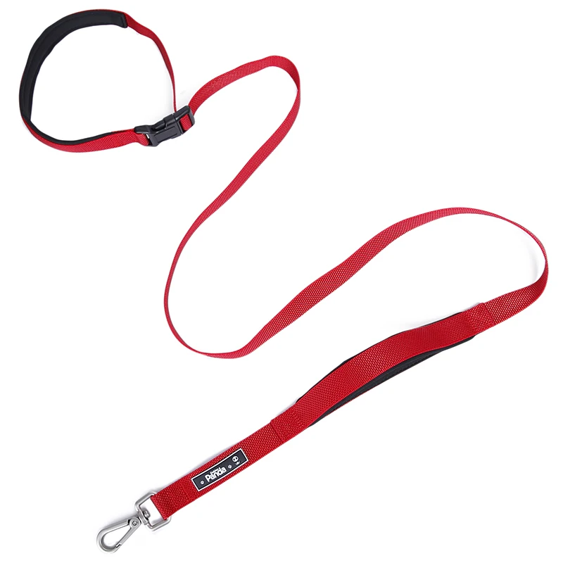 

Colorful Multipurpose Strength Nylon Webbing Pet Walking Training Dog Leash For Small Medium Large Dog