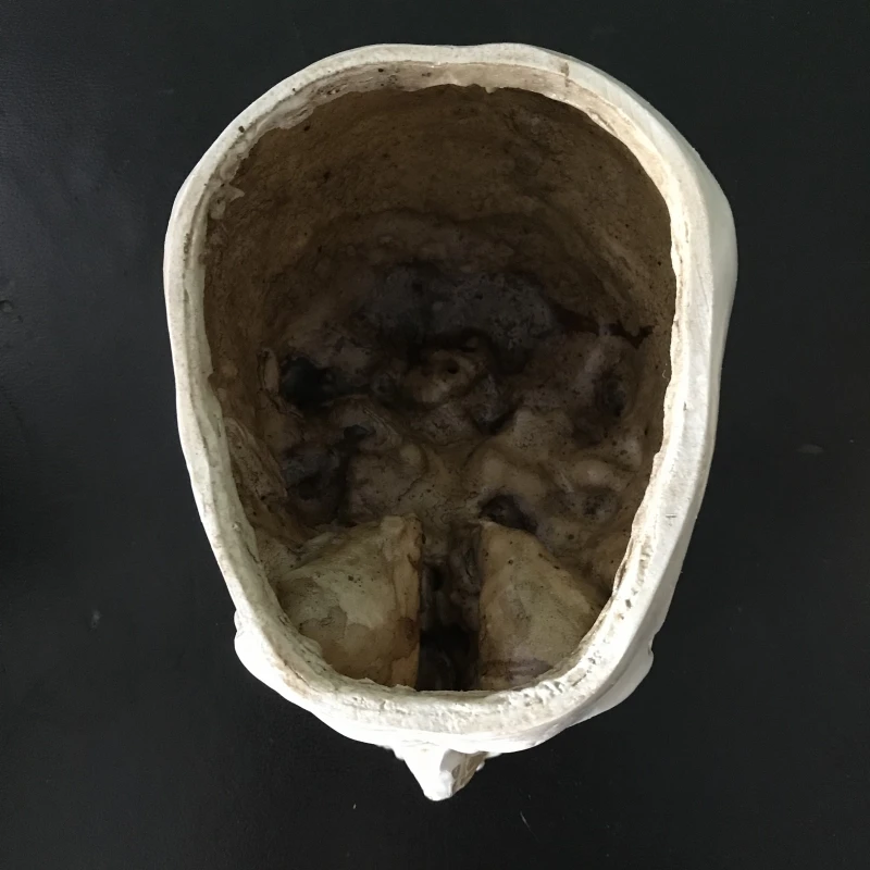 Goedkoop Schedel Hoofd Planter Wit Menselijke Schedel Hoofd Ontwerp Bloempot Container Antieke Sculptuur Planter Home Decor Cadeau voor Kerst