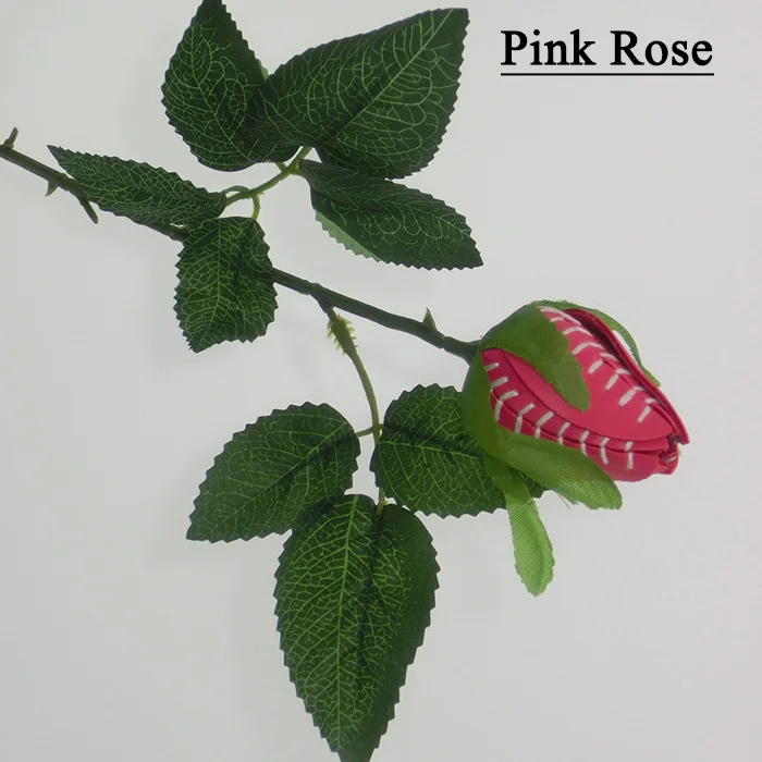 Самые красивые розовые кожаные шовные спортивные розы