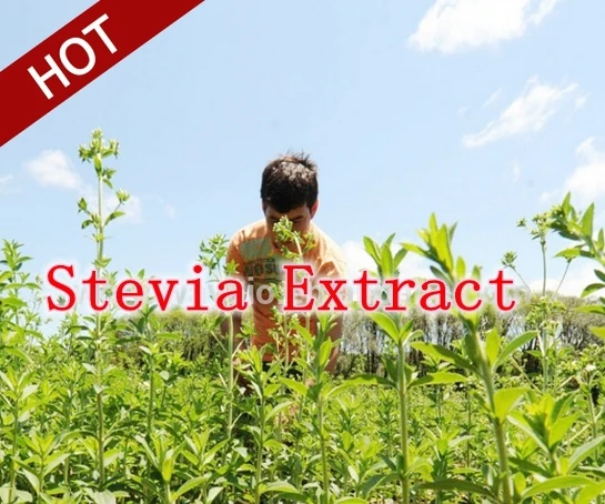 

SweetLeaf SteviaTabs Stevia Extract Natural Sweetener 10000 Tabs Zero Calories Zero Carbs Eating food supplements Diabetes sugar
