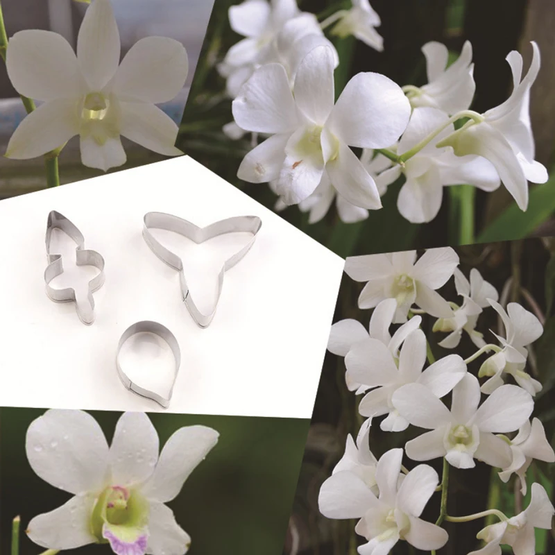 

Phalaenopsis 3Pcs Stainless Stell Cookie Cutter Pastry & Biscuit Baking Cutter Cake Decorating Tools Cupcake Mold Fondant Tools