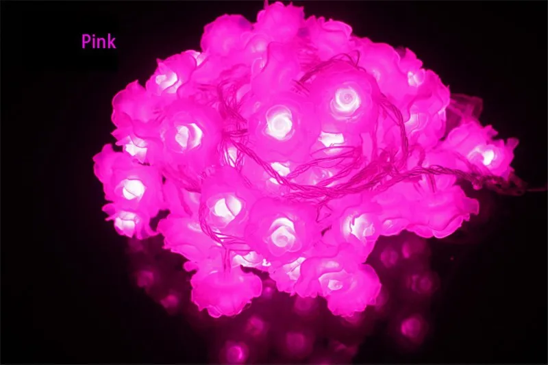 5M40L-AA-Rose14