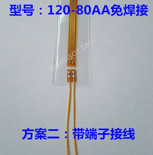 120-80AA Strain gauge2_