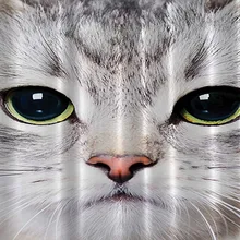 Коврик для ванной комнаты в стиле кошки, Забавный Противоскользящий коврик для ванной, аксессуары для душевой занавески, соответствующие вашей душевой занавеске