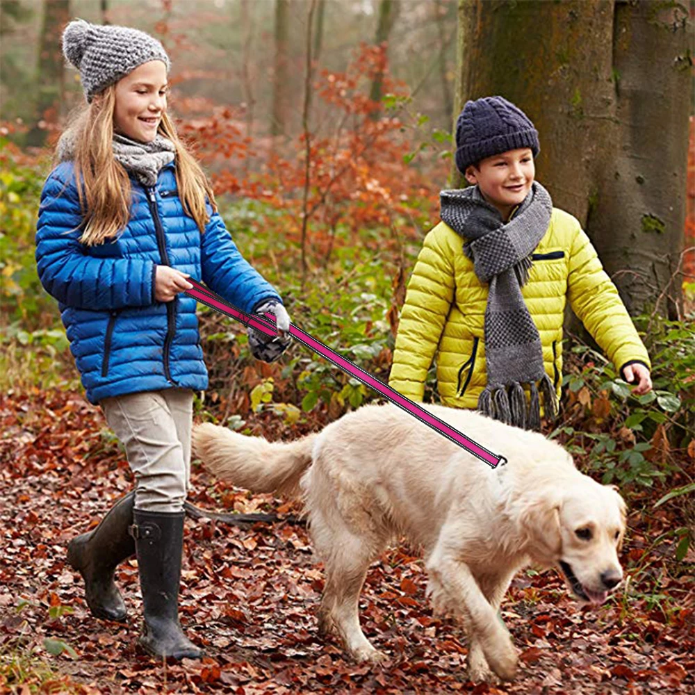 Pet Dog Collar Leash Pet Products Dog Leash Rope Reflective Puppy Collars Leads Cat Pitbull Dog-Collar Pet Leash And Harness Set (2)