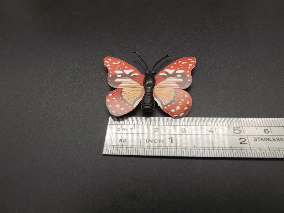 I257-Butterfly (10)