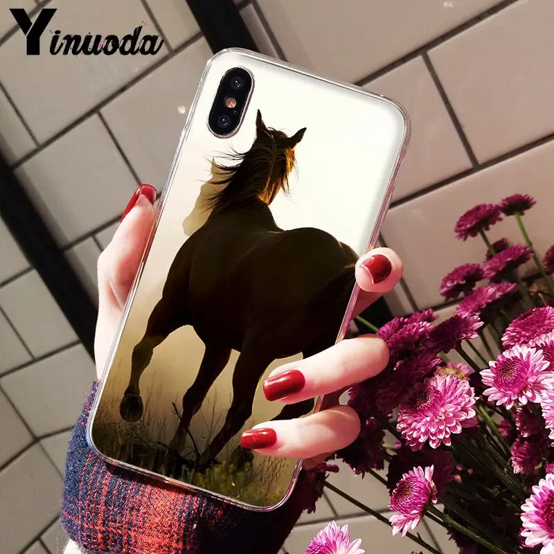 The Great beauty horse