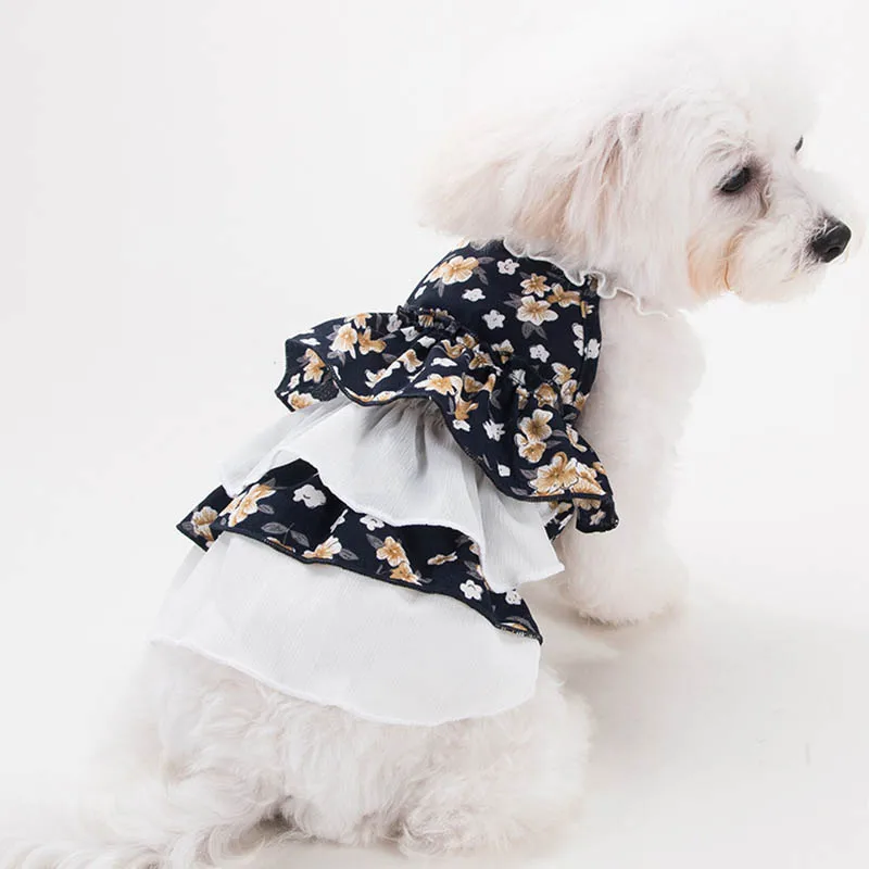 66