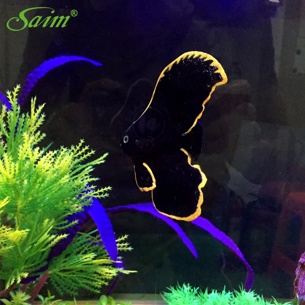 robot fish for aquarium