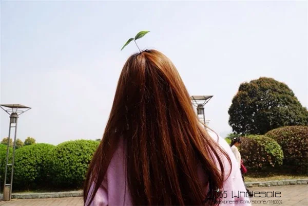 Growing Grass Hair Clip - 1