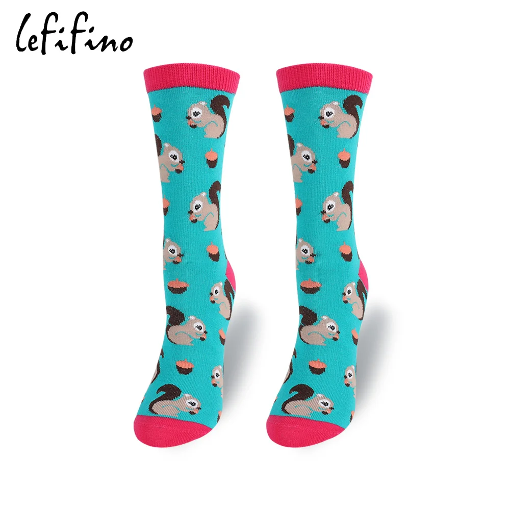 Носки женские хлопковые с рисунком белки кролика лошади лисы|women socks|socks patternsocks color