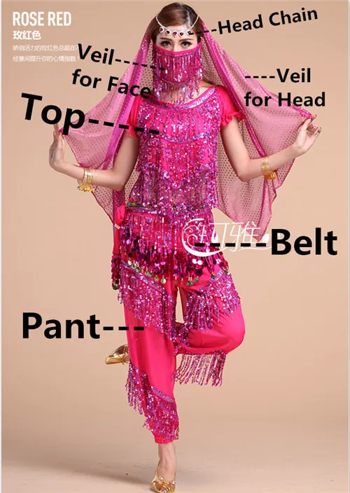 Набор костюма для танца живота длинный Цыганский костюм Восточный танец живота Болливуд индийский бальный сценический топ с кисточками+ штаны 4 цвета - Цвет: Rose Red 6pcs