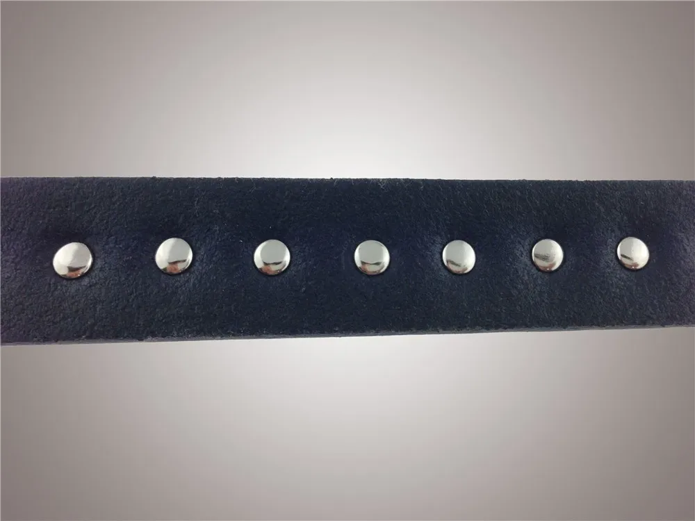 dog_collar_92015
