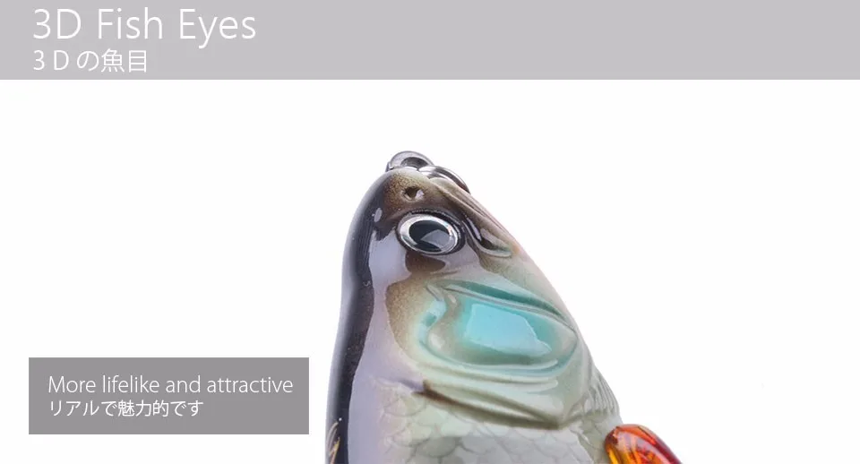 HTB1KR7lKVXXXXaiaXXXq6xXFXXXh