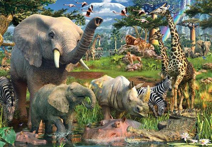 animales_selva_3390_0000017823
