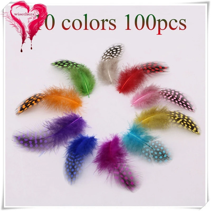 100pcs 10 mixccolors guinea fowl feather 2