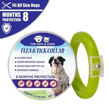 

Trsnser Dog Collar Removes Flea And Tick Collars Dogs Cats Up To 8 Month Flea Tick Green Collar 63.5CM 19July1 P30