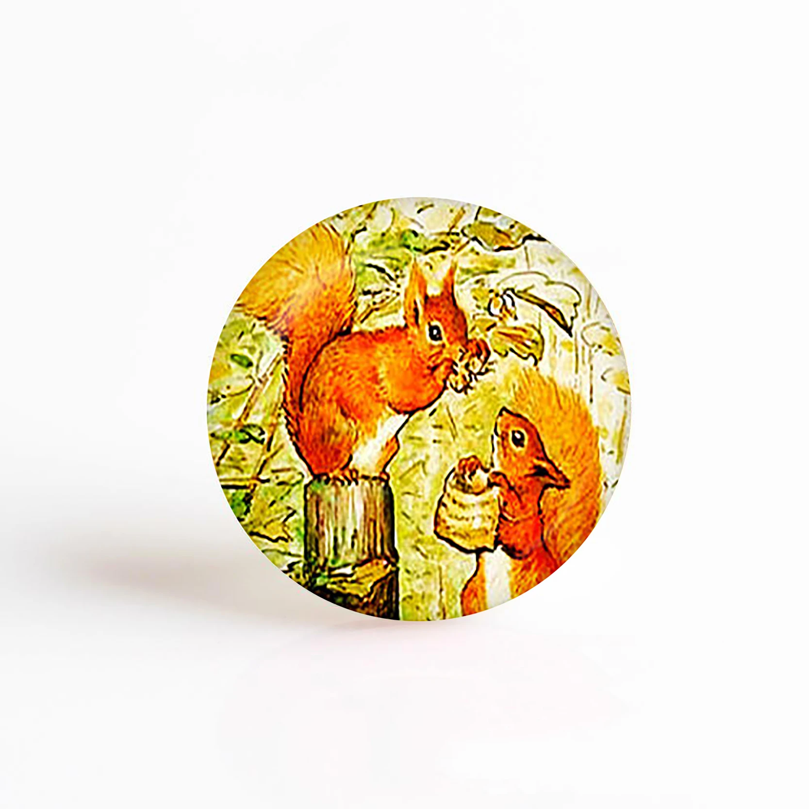 

5Pcs/lot Tale of Squirrel Nutkin art Pendant. Beatrix Potter Art 25mm Round Glass Cabochon DIY necklace jewelry Accessories
