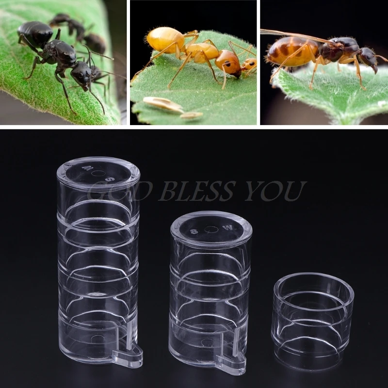

Ant Feeder Water Feed Area For Farm Nest House Acrylic Insect Drink Bowl 3 Type