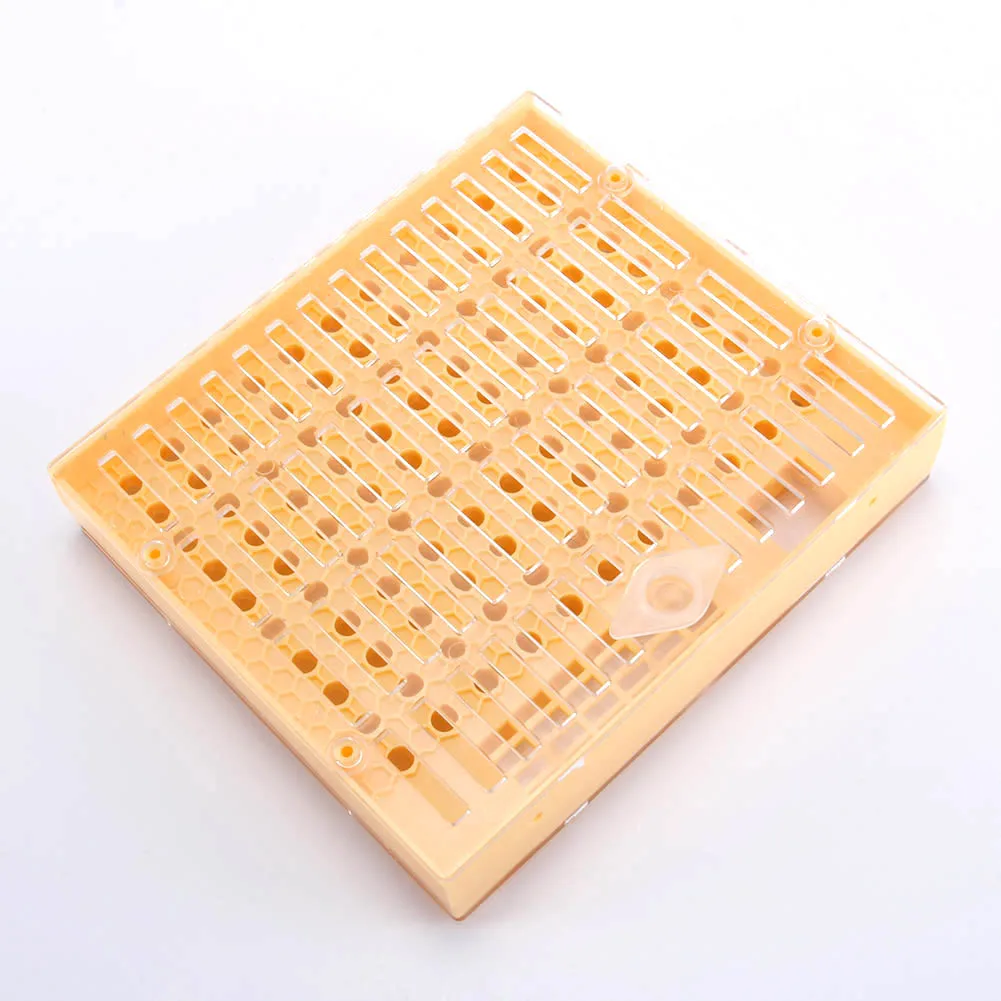 

Beekeeping Queen Rearing Cell Cup Kit Equipment Apiculture System Cultivate Case Set @LS