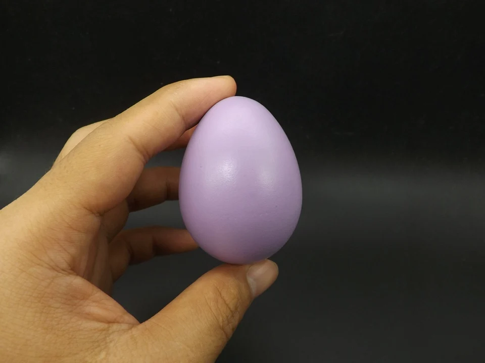 I433-Egg (2)