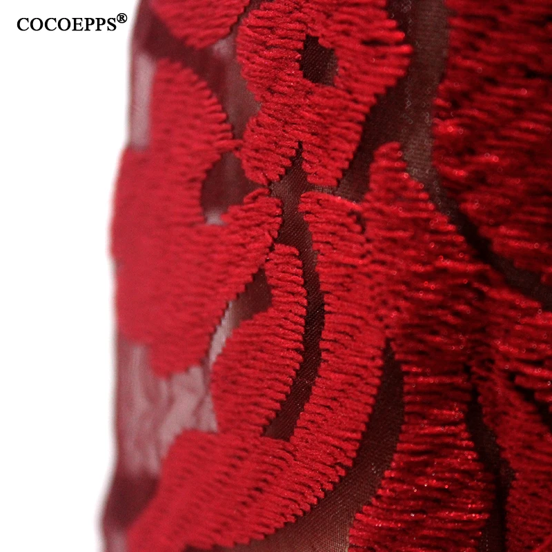 COCOEPPSLOGO5