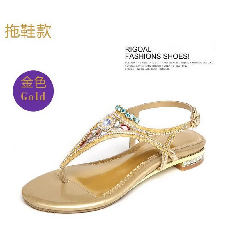 4170751008_1453370230