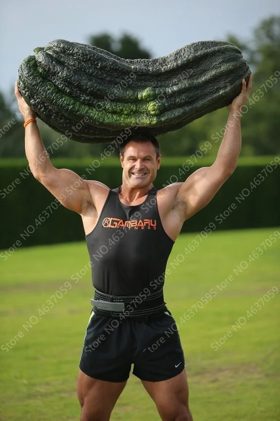 

50 Bonsai Delicious Luffa Cylindrica Bonsai Non-Transgenic Loofah Potted Garden Vegetables Healthy Nutritious Organic Plants
