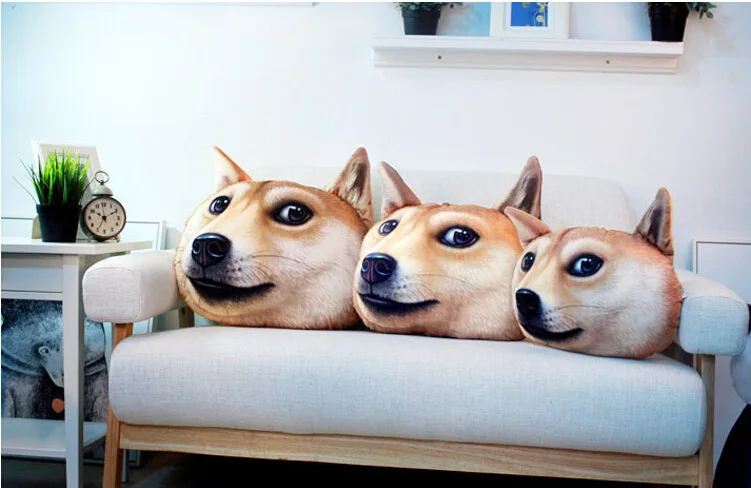 2853169847_720344829