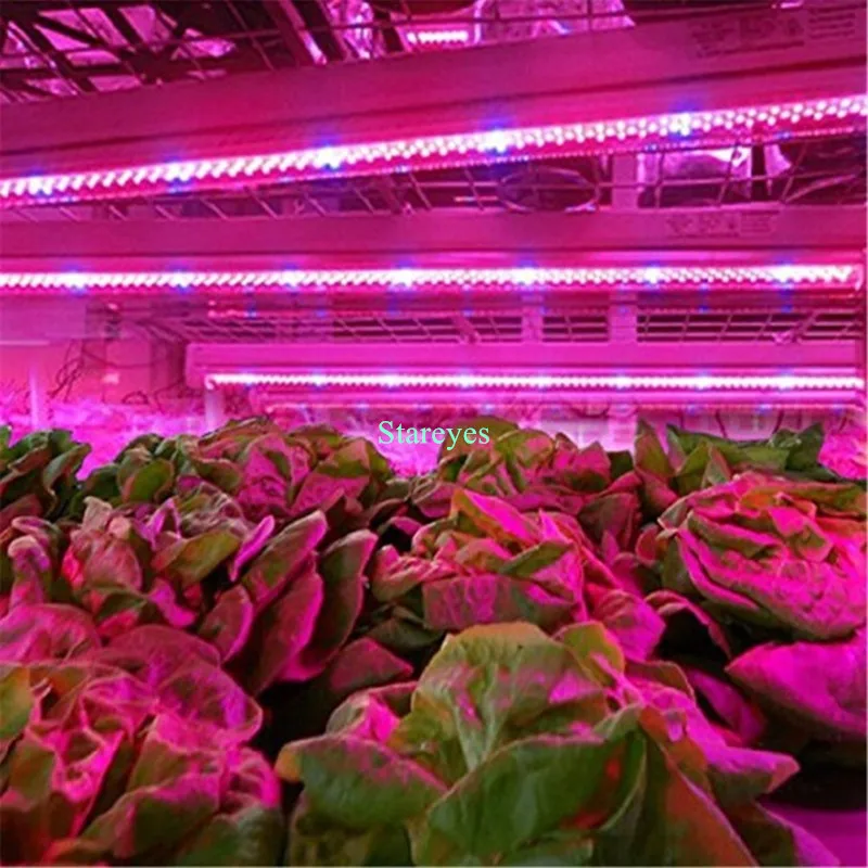 20 шт. SMD 5050 5 м Светодиодные полосы растут свет полный спектр цветок растение Фито лампа роста для теплицы для гидропонного выращивания растений