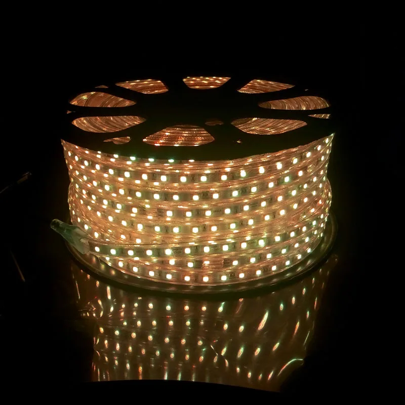 220 Volt LED Strip Lighting RGB Flexible Ruban 5050 60 leds/m with 20 Keys Remote Control Outdoor W - 32868402017