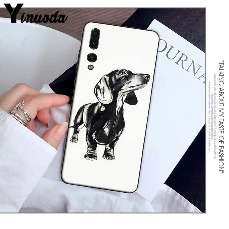 Animals Dogs Dachshund 