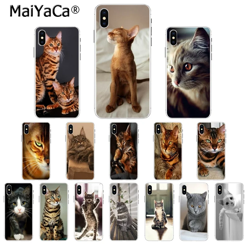 MaiYaCa bengal cat TPU Прозрачный чехол для телефона iPhone 5 5S SE 6 6S Plus 7 8 XR X XS MAX Coque Shell |