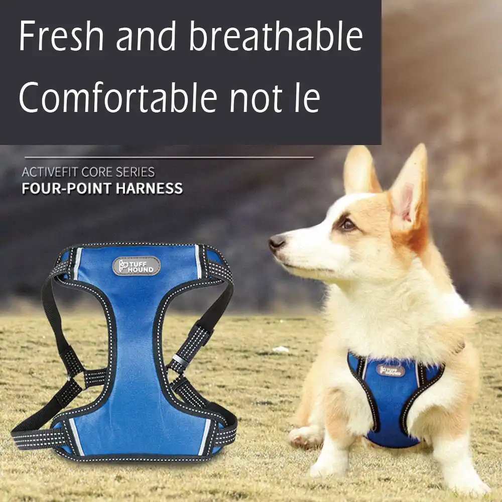 5 point dog harness